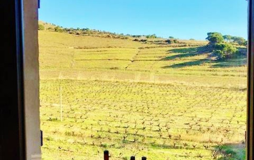 Location de vacances - Gîte à Port-Vendres