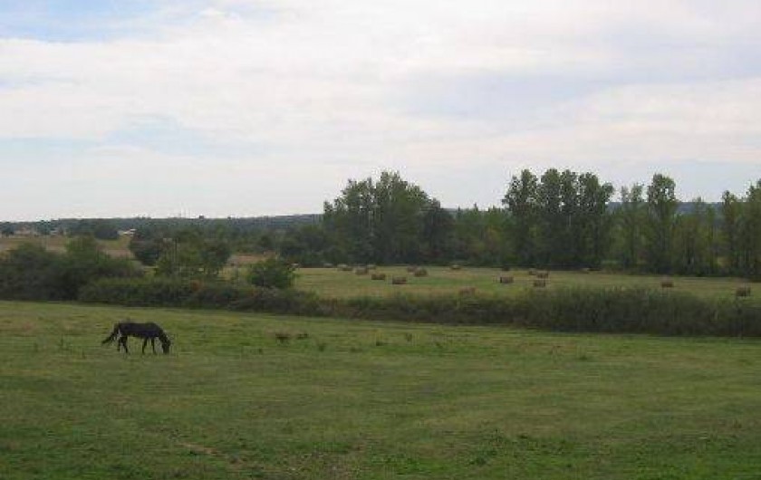 Location de vacances - Villa à Castelnau-d'Estrétefonds