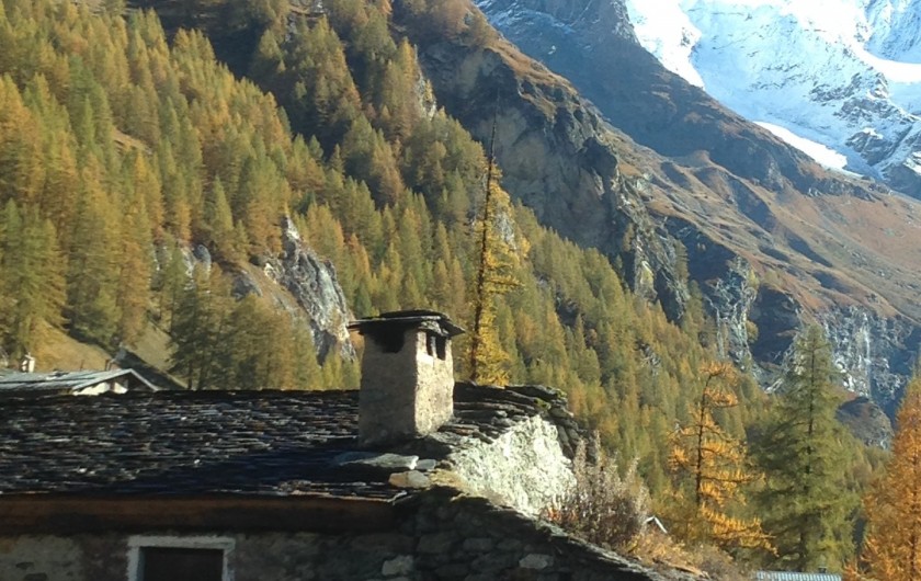 Location de vacances - Appartement à Peisey-Nancroix - Les Lanches