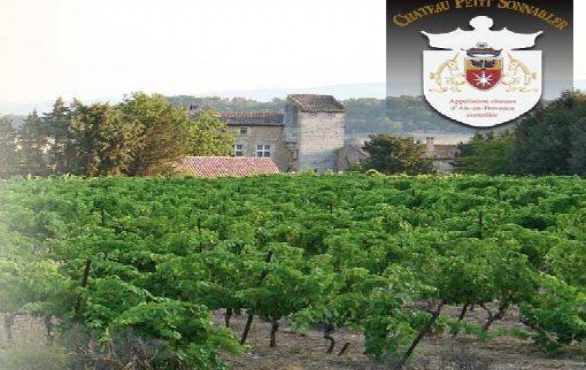 Location de vacances - Chambre d'hôtes à Aurons