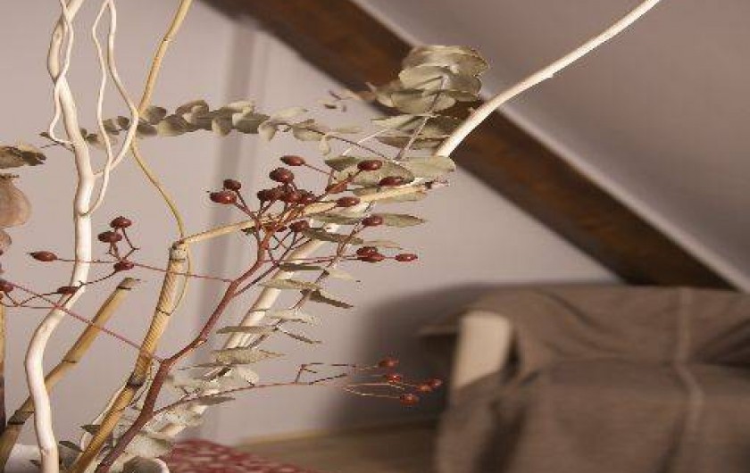 Location de vacances - Gîte à Sélestat