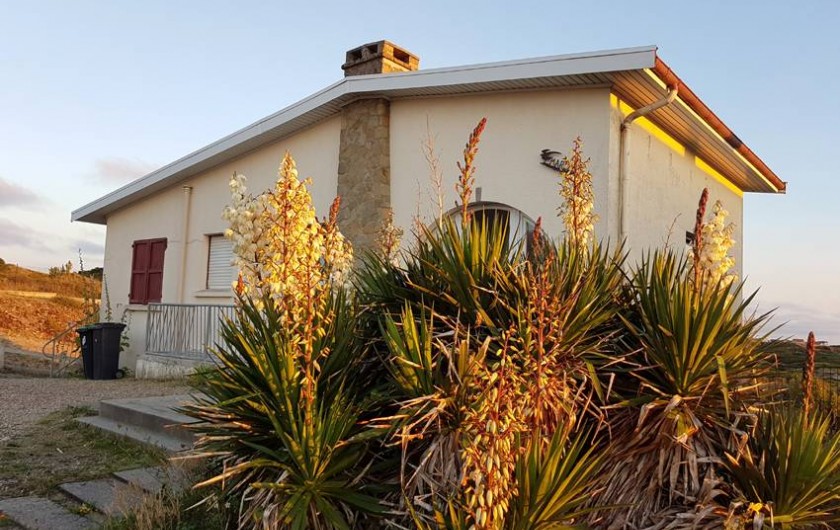 Location de vacances - Villa à Stella Plage