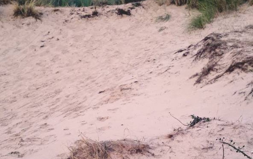 Location de vacances - Villa à Stella Plage