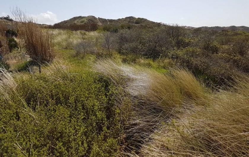 Location de vacances - Villa à Stella Plage