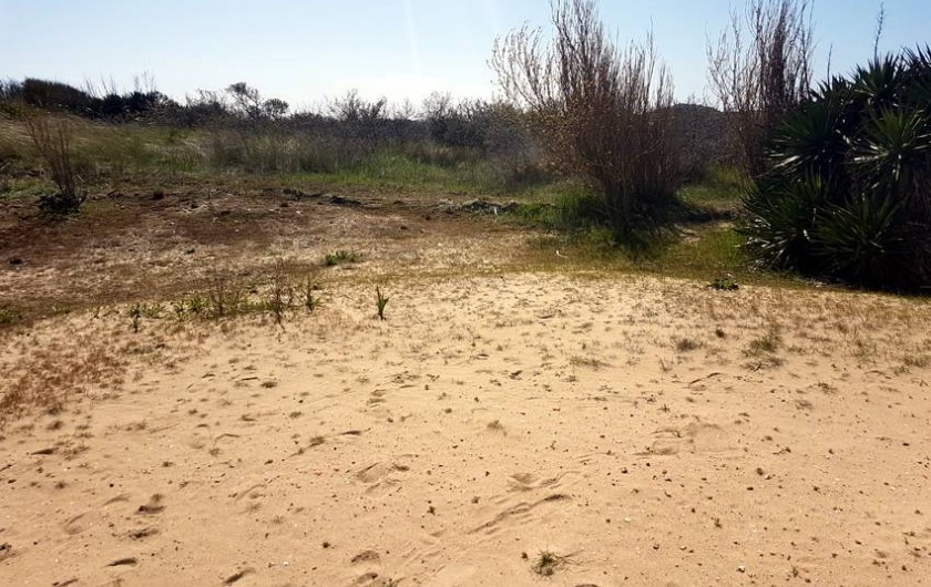 Location de vacances - Villa à Stella Plage