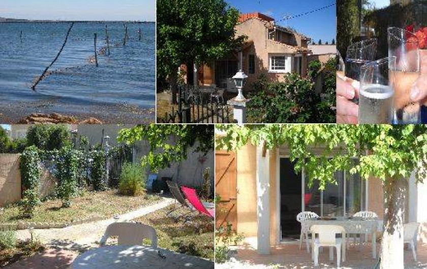 Location de vacances - Villa à Lespignan