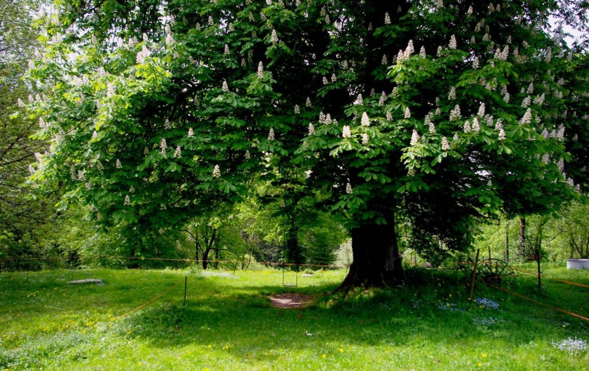 Location de vacances - Gîte à Les Nans - Au jardin.