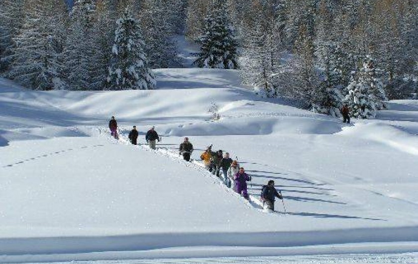 Location de vacances - Appartement à Ceillac