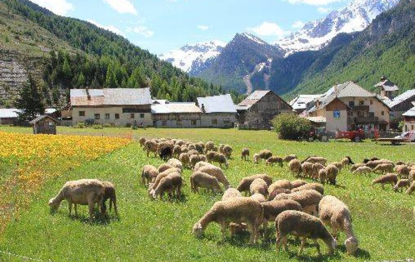 Location de vacances - Appartement à Ceillac