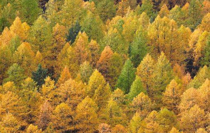Location de vacances - Appartement à Ceillac