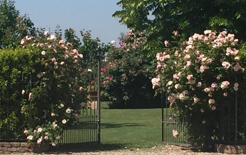 Location de vacances - Chambre d'hôtes à Bibbiano