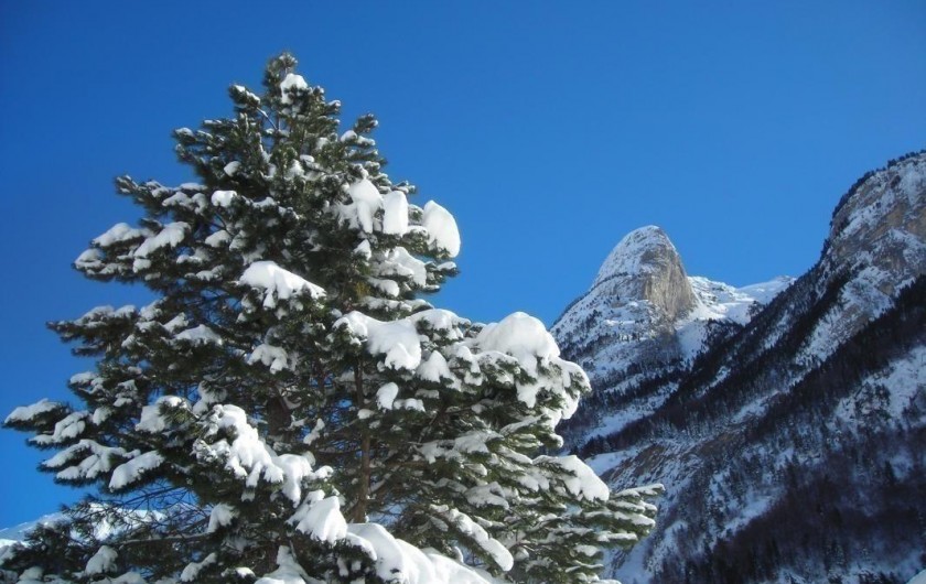 Location de vacances - Gîte à Gavarnie-Gèdre