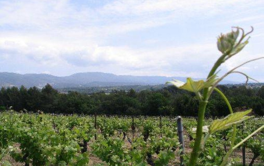 Location de vacances - Gîte à Cadenet