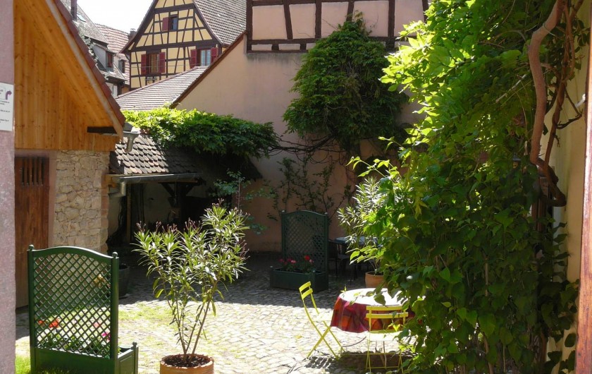 Location de vacances - Gîte à Ribeauville - 410 m2 de verdure et de zénitude au Gîte Alsacien
