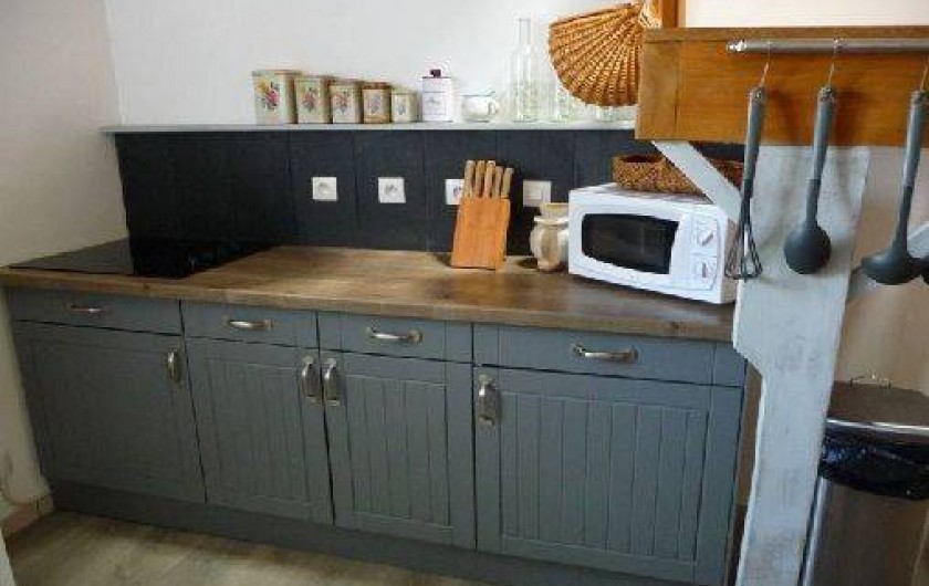 Location de vacances - Appartement à Chouzé-sur-Loire