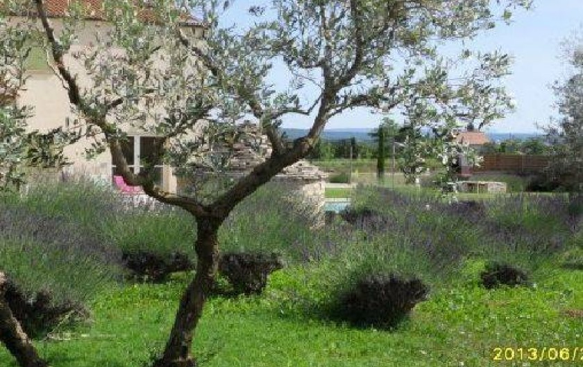 Location de vacances - Mas à Manosque