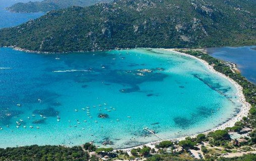 Location de vacances - Bungalow - Mobilhome à Porto-Vecchio