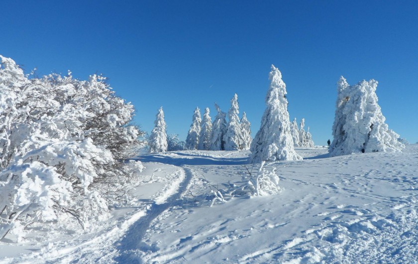 Paysage des crêtes Vosgiennes figé dans la neige