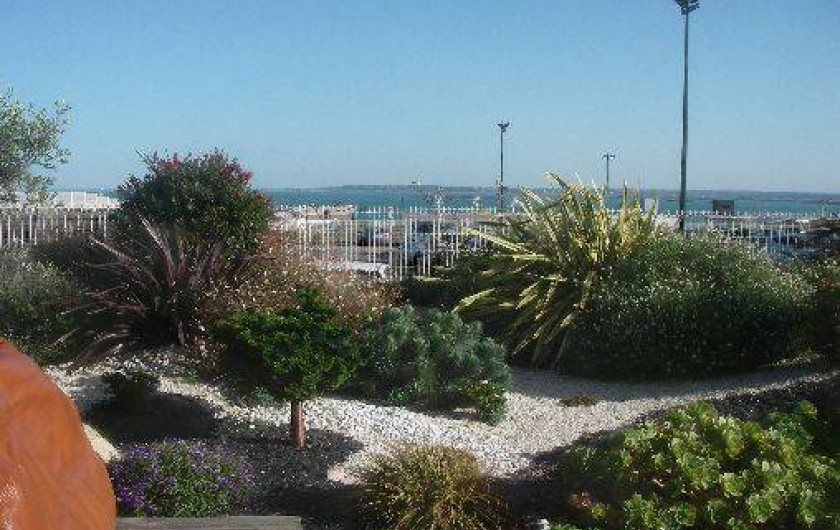 Location de vacances - Maison - Villa à Roscoff - Le jardin