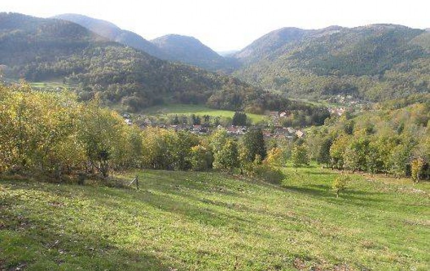 Location de vacances - Gîte à Storckensohn