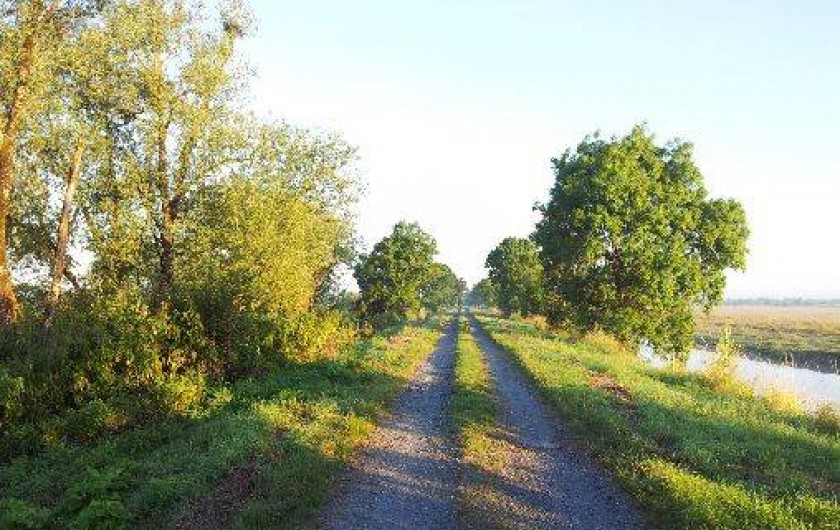 Location de vacances - Gîte à Chaillé-les-Marais