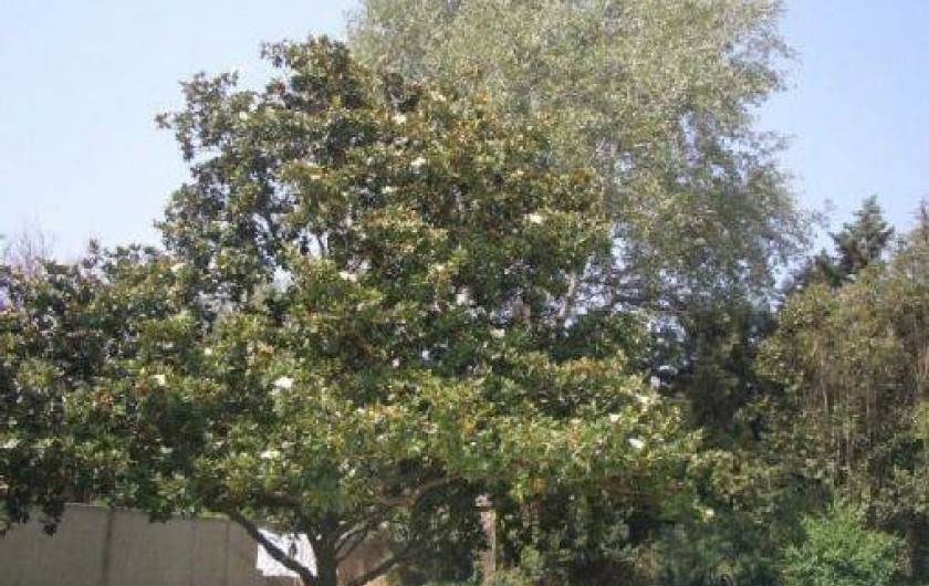 Location de vacances - Villa à Roquebrune-sur-Argens