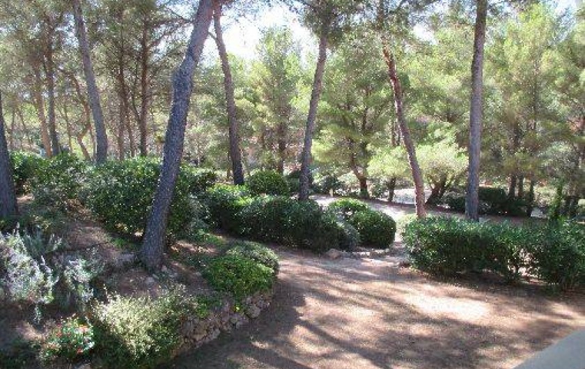 Location de vacances - Appartement à Sanary-sur-Mer