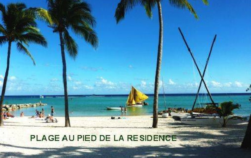 Location de vacances - Studio à Saint-François