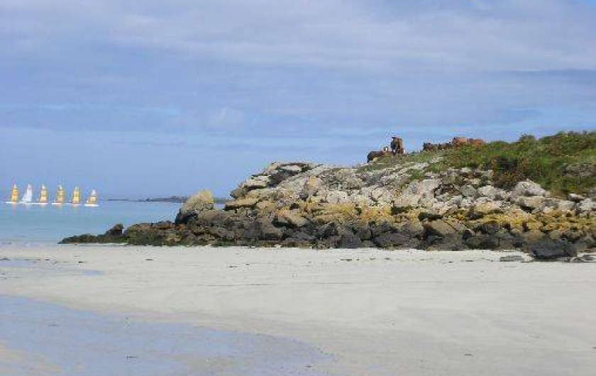 Location de vacances - Gîte à Landunvez