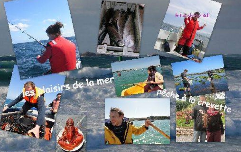 Location de vacances - Gîte à Landunvez