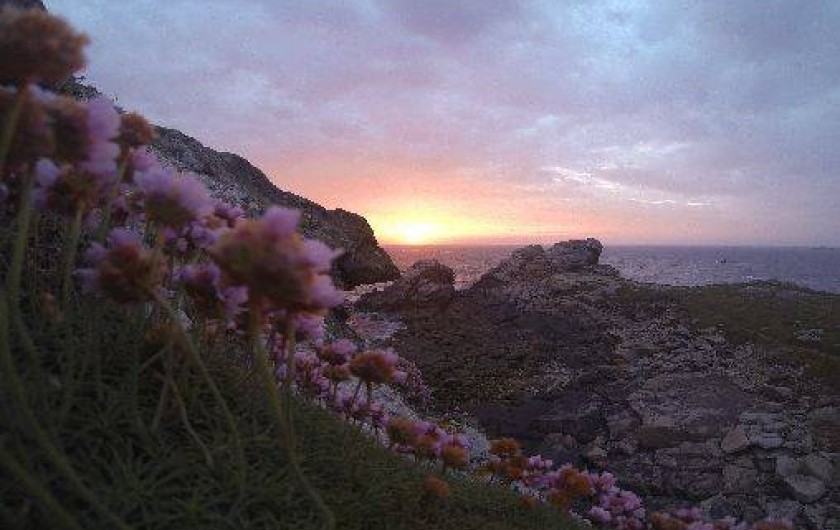 Location de vacances - Gîte à Landunvez