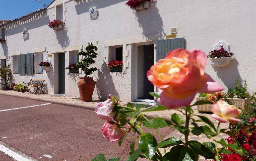 Location de vacances - Maison - Villa à La Flotte