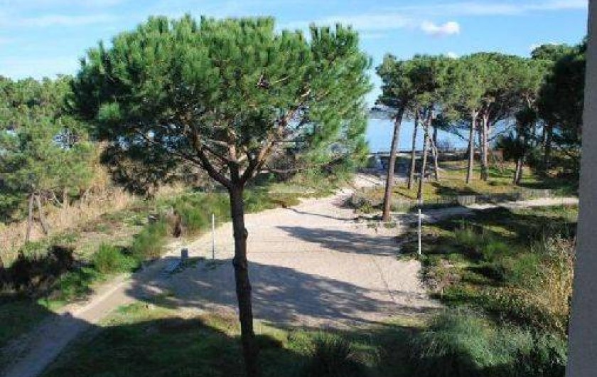 Location de vacances - Appartement à Calvi