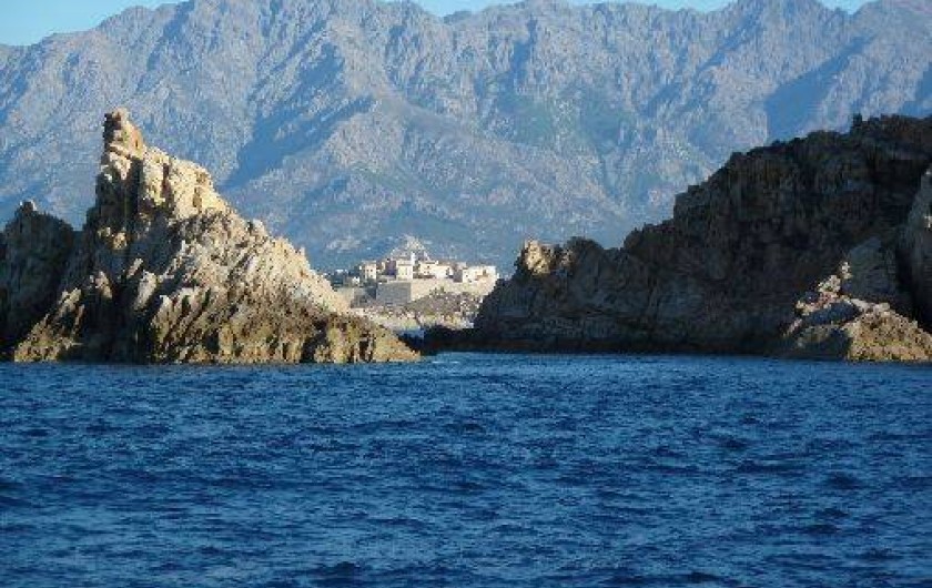 Location de vacances - Appartement à Calvi