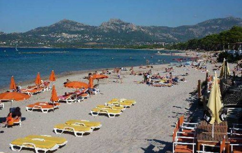 Location de vacances - Appartement à Calvi