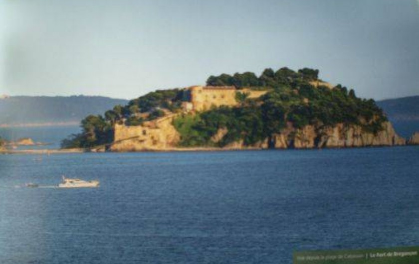 Location de vacances - Villa à Bormes-les-Mimosas