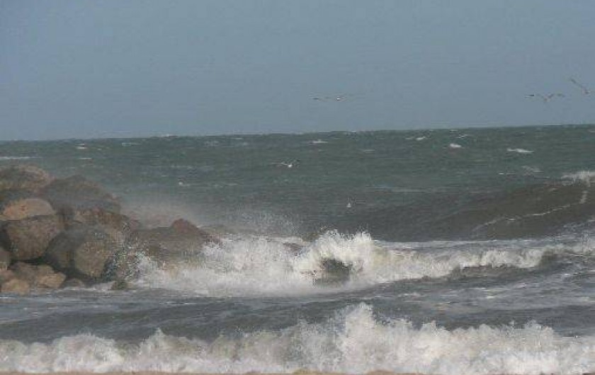 Location de vacances - Villa à Frontignan - Vue mer de la crique 8