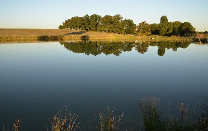 Location de vacances - Chambre d'hôtes à Saint-Avit-Sénieur - Étang situé sur la propriété