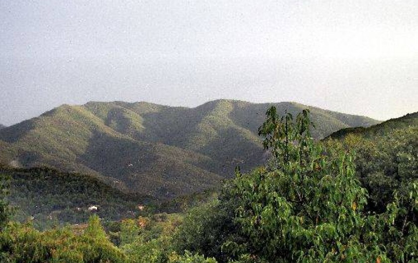 Location de vacances - Gîte à Reynes