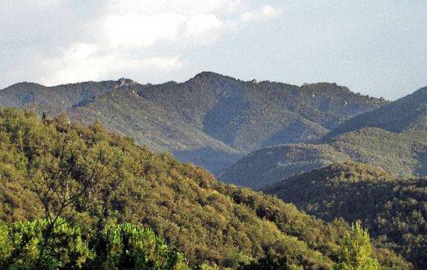 Location de vacances - Gîte à Reynes