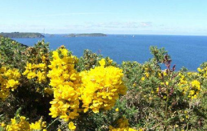 Location de vacances - Camping à Plouha