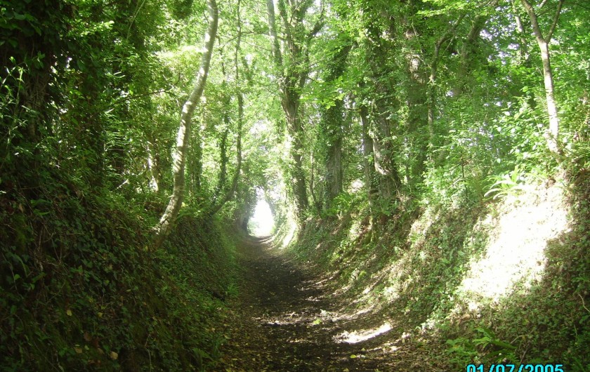 Location de vacances - Maison - Villa à Clohars-Carnoët - CHEMIN CREUX APRES LA RUE MENANT A LA COTE