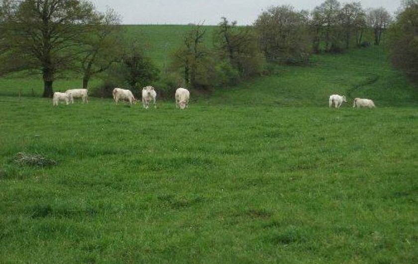 Location de vacances - Gîte à Andelaroche