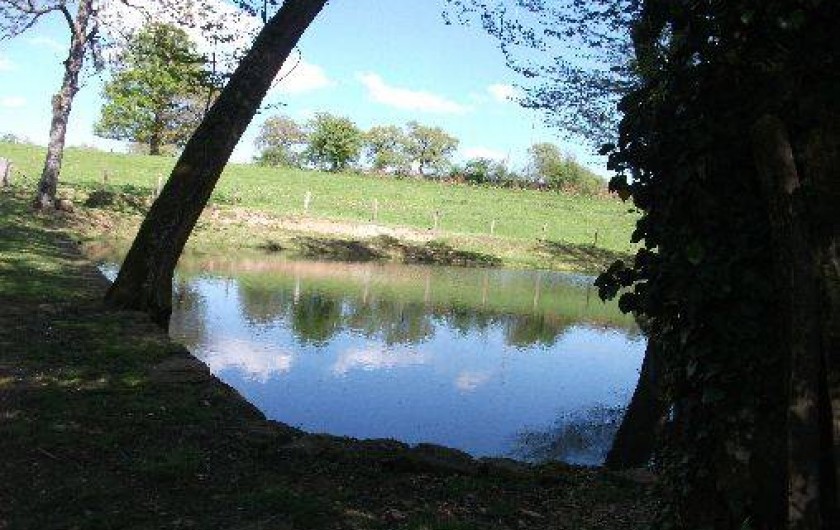 Location de vacances - Gîte à Andelaroche