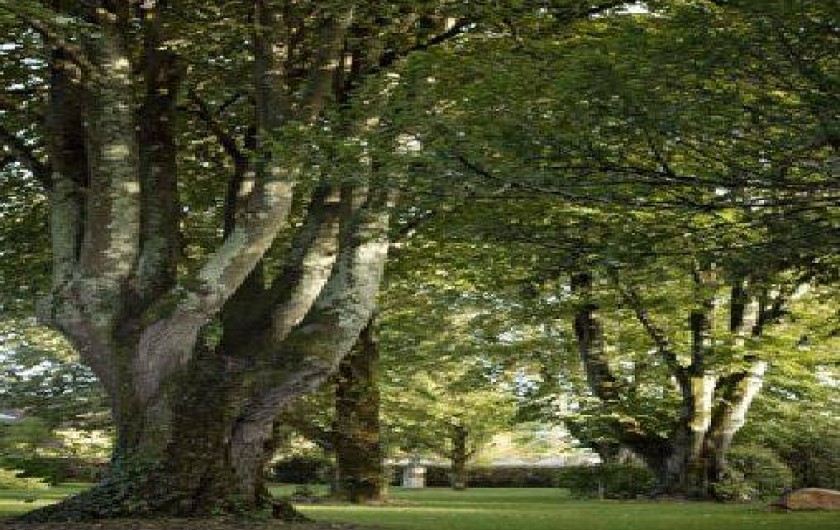 Location de vacances - Maison - Villa à Prayssac