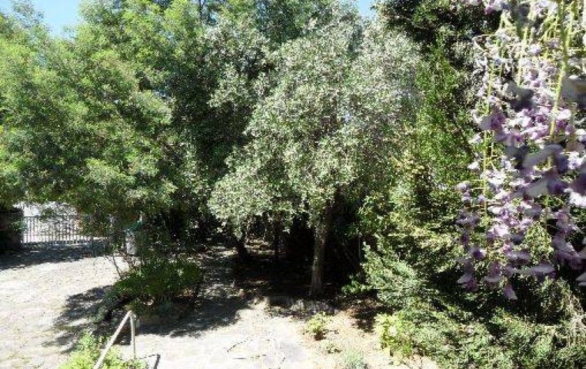 Location de vacances - Villa à Cavalaire-sur-Mer