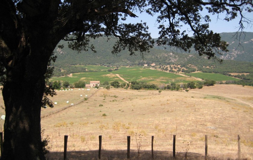 Location de vacances - Appartement à Sartène - Vue sur la vallée