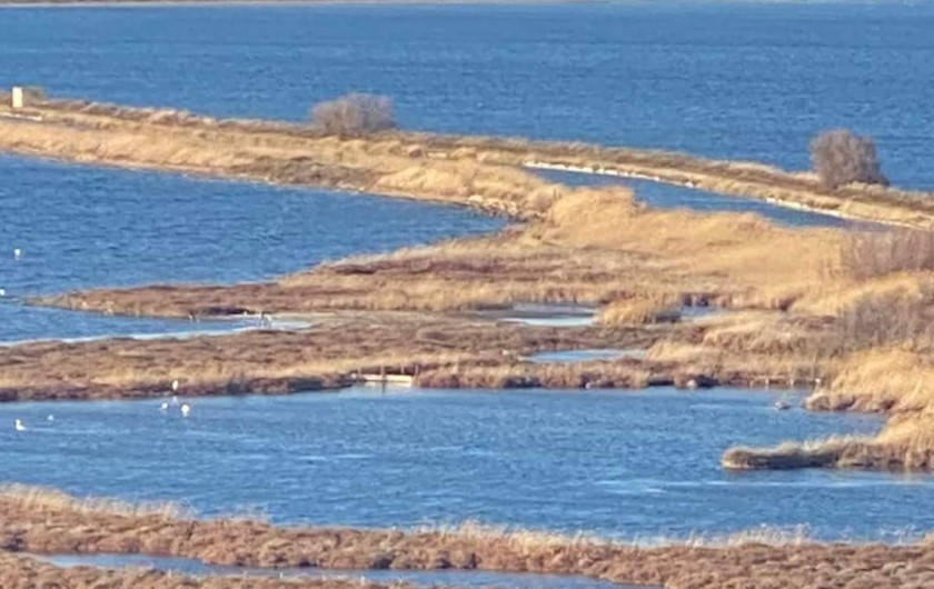 Location de vacances - Villa à Portel-des-Corbières
