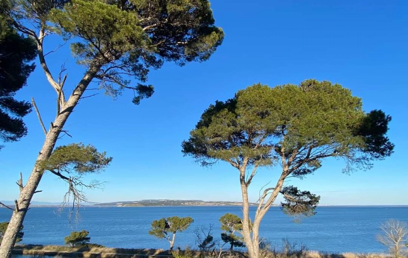 Location de vacances - Villa à Portel-des-Corbières