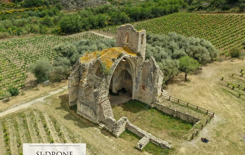 Location de vacances - Villa à Portel-des-Corbières - vue de l'église parmi les vignes